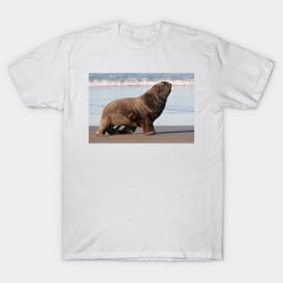 New Zealand Sea Lion 2 T-Shirt